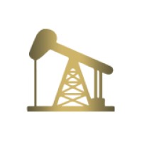 Petrasynergy Smart Solution Group logo - Similar company to Smart Solutions