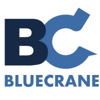BLUECRANE ARGENTINA logo - Similar company to Bluecranespace