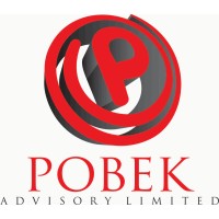 Pobek Advisory logo - Similar company to Hydrocis