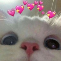 DC Company logo - Similar company to Dc Communication