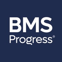 BMS Progress logo - Similar company to Infini Insights