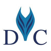DÜSSELDORF CONSULTING logo - Similar company to Kalem Yazılım