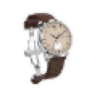 BOSTON AND STEWILL logo - Similar company to Riskers Watches