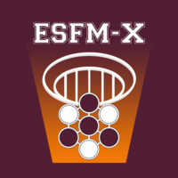 ESFM-X logo - Similar company to Orbital