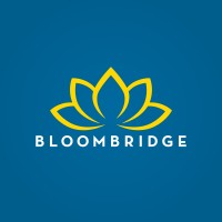 BloomBridge logo - Similar company to Bloomrich Crypto Ltd.
