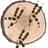 Tidewater Rehabilitation and Environmental Education logo - Similar company to Get Solutions, Inc.