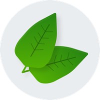 SoundMint logo - Similar company to Goodpix