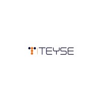 Teyse Consulting LLC logo - Similar company to Mit Dynamic