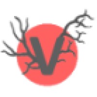 Vassi Media By Design
