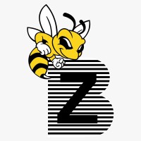 Brand Buzz Media Solution logo - Similar company to Seo Company Dehradun