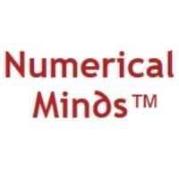 Numerical Minds logo - Similar company to Domore.Ai