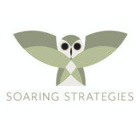 Soaring Strategies, Raines & Company CPAs P.C. logo - Similar company to Matson Financial Advisors, Inc