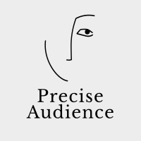 Precise Audience logo - Similar company to Karin+Blue