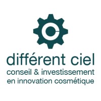 différent ciel logo - Similar company to Stratventrures Consutling