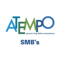 Atempo for Small & Medium Businesses logo - Similar company to 2F2C