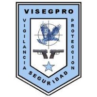 VISEGPRO Cía. Ltda. logo - Similar company to Valoremestratek Consultores Cia. Ltda.