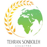 TSO Holding Co. logo - Similar company to Apx Technologies Inc