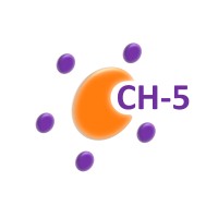 CH-5 FINANCE logo - Similar company to Lc-Consulting