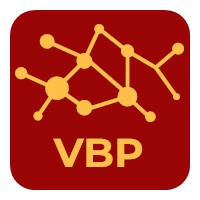Virtual Business Professional logo - Similar company to Rayeye