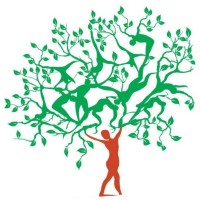 Qualy Sessa - Qualidade de vida empresarial logo - Similar company to Clínica Pace