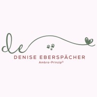 Denise Eberspächer logo - Similar company to B2B Like A Boss
