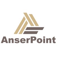 AnserPoint logo - Similar company to Investigate Everything With Brian O'Shea
