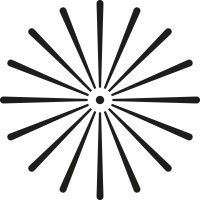 Singular Photonics logo - Similar company to Wave Photonics
