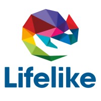 Lifelike Experience logo - Similar company to Lifelike Paneler