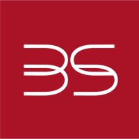 BonaSoft logo - Similar company to Sagitum