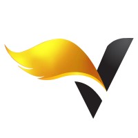 Vihari Studio logo - Similar company to Codemania