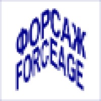 FORCEAGE logo - Similar company to Designare Studio