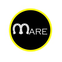 Mare Reklam Ajansı logo - Similar company to Lizard & Frog