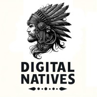 Digital Natives logo - Similar company to Elemental Games