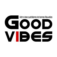 THE GOOD VIBES logo - Similar company to Littopia