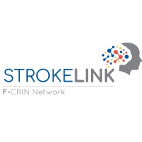 StrokeLink logo - Similar company to Strategy Corps.