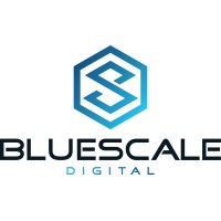 BlueScale Digital logo - Similar company to Rockpay Online