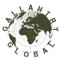 Gallantry logo - Similar company to Im Security