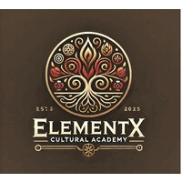 ElementX Academy logo - Similar company to Caspian Staffing Inc.
