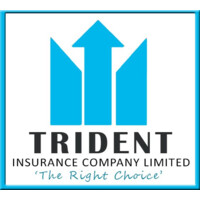 Trident Insurance Company Limited logo - Similar company to Netlink Logistics