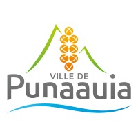 Ville de Punaauia logo - Similar company to Zencon Hackathon
