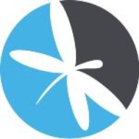 Dragonfly - Accounting & Financial Management Ltd logo - Similar company to Insight Associates
