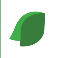 Nelson Angels Inc. logo - Similar company to Entify Global