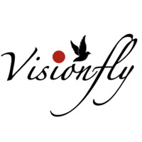 Visionfly logo - Similar company to Visionfly Official