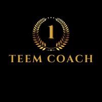 Teem Coach logo - Similar company to Naverisk