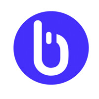BWISE SYSTEMS | BConnected logo - Similar company to Armox