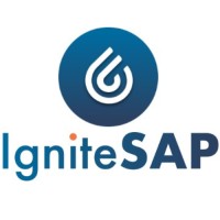 IgniteSAP logo - Similar company to Integrate Erp