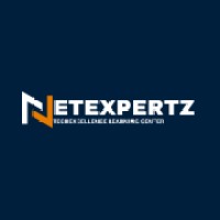 Netexpertz logo - Similar company to Digitals Promotion