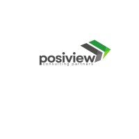 Posiview Consulting Partners logo - Similar company to Datakatalyst Ventures Llp