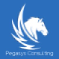 Pegasys Consulting logo - Similar company to Pegasys Technologies