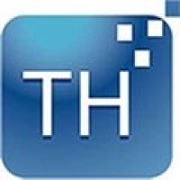 ThemeHunk logo - Similar company to Newgen Analytics